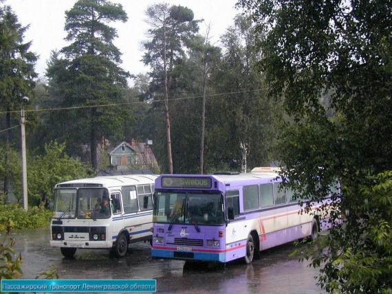 Всеволожск, автобусы частных перевозчиков в687мм 47, в236ма 47, август 2003 г