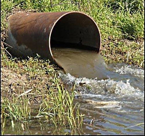 По результатам прокурорской проверки возбуждено уголовное дело о загрязнении земель сточными водами на территории Всеволожского района