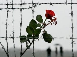 Всеволожский район готовится к проведению Международного дня освобождения узников фашистских концлагерей