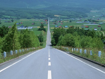 Автодорогу из Мурино в Бугры предложили построить трем девелоперам
