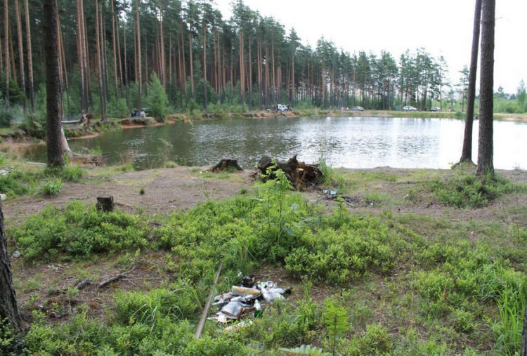 Жители Всеволожска и Нового Девяткино требуют очистить берега озер