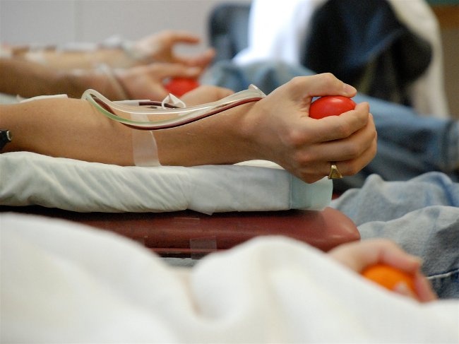 Депутаты Ленобласти попросили Дрозденко увеличить выплаты донорам крови