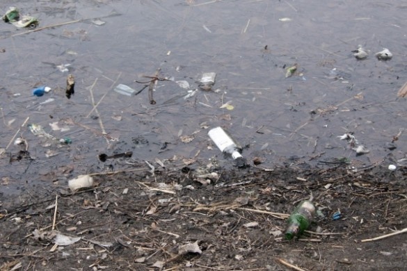 Как большие стройки уничтожают водную среду в Петербурге