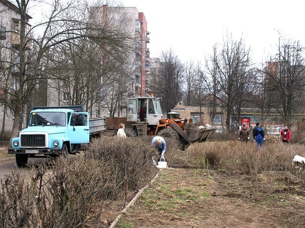Субботник в посёлке Кузьмоловский состоится 23 апреля