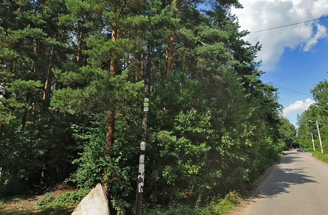 Лесной массив вдоль улицы Северной во Всеволожске не пострадает