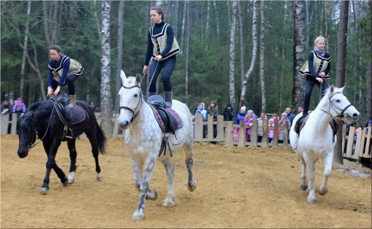 В Токсово пройдет конный праздник в стиле «Бременских музыкантов»