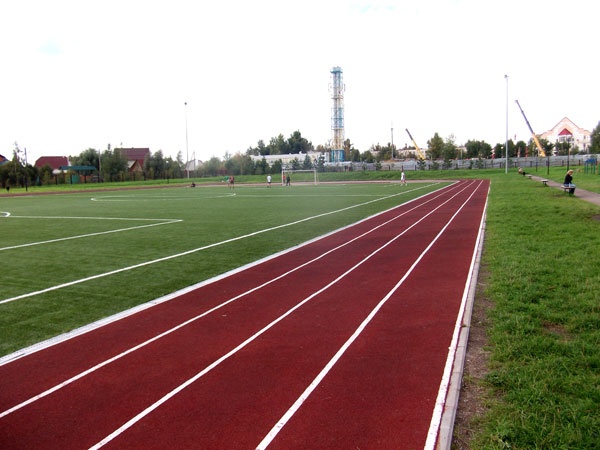 Во Всеволожском районе обустроят 10 пришкольных стадионов