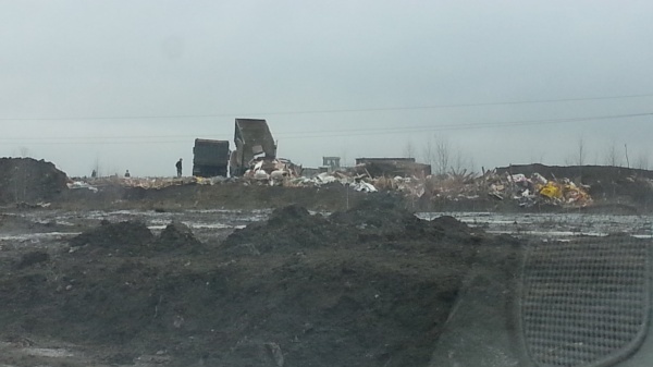 В поля неподалеку от Янино мусор свозят целыми грузовиками