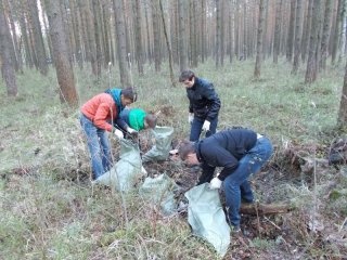Морозовский молодёжный совет провёл акцию «Чистый лес»