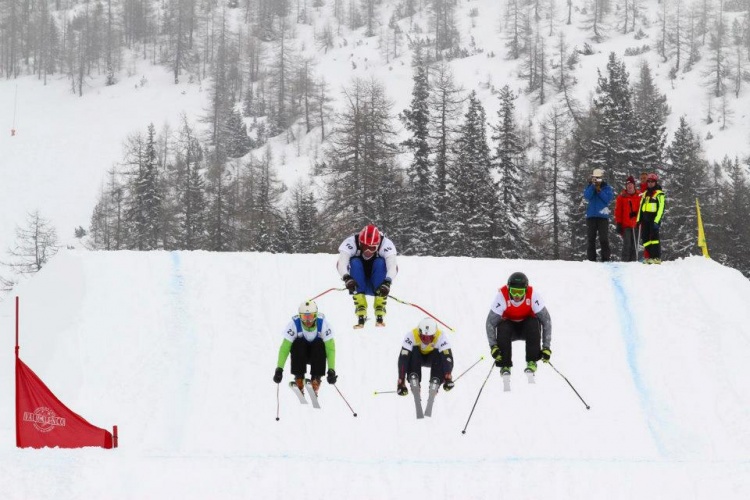 Гринцтон будет руководить сборной России по ски-кроссу на сборе в Кавголово