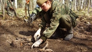 В Ленинградской области подведут итоги работы поисковых отрядов