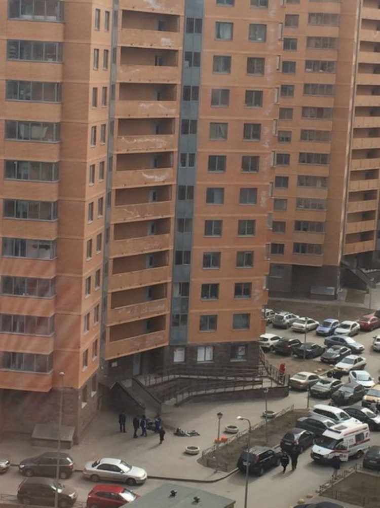 Девушка выбросилась с 20 этажа в ЖК «Мечта» у метро «Девяткино» в Мурино
