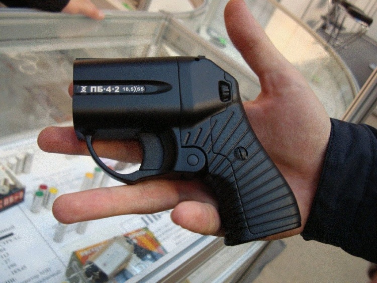 В Сертолово мать с детьми нашла пистолет на детской площадке