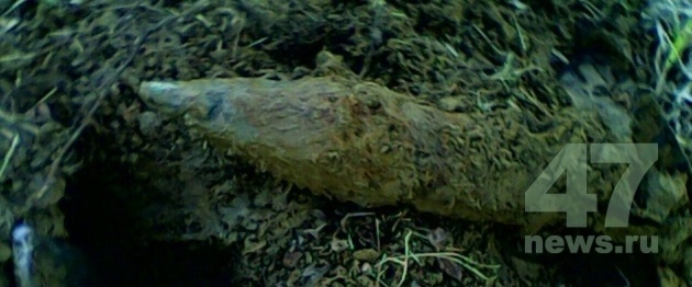 В Мурино под трубопроводом &quot;Транснефти&quot; обнаружена ловушка из танкового снаряда