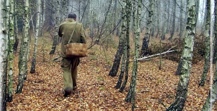 Поиски мужчины, заблудившегося в лесу, были приостановлены из-за стрельб