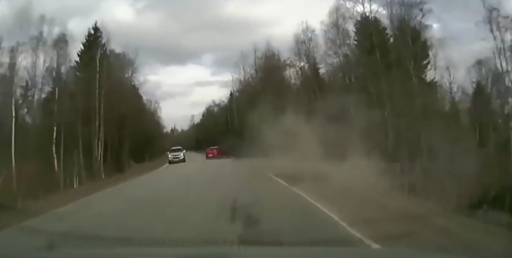 Во Всеволожском районе водитель устроил погоню за собакой, скрывшейся с места ДТП (видео)