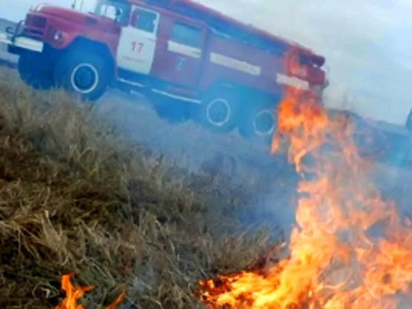 С начала недели пожарные Ленобласти выезжали на тушение пала травы более 60 раз