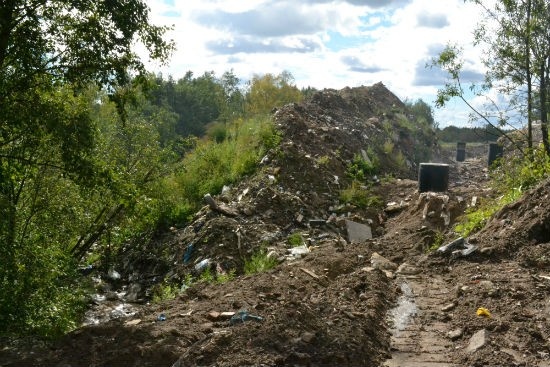 Навозное озеро под Кузьмоловским заваливают мусором