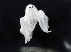 В ЖК «Янила Кантри» можно поселиться бесплатно за ролик с призраком
