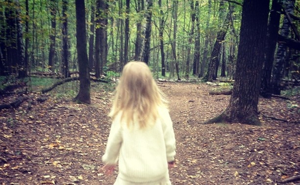 Во Всеволожском районе нашли заблудившегося в лесу двухлетнего ребенка