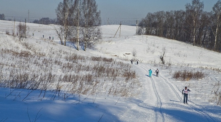 В Ленинградской области появился новый памятник природы – «Колтушские высоты»