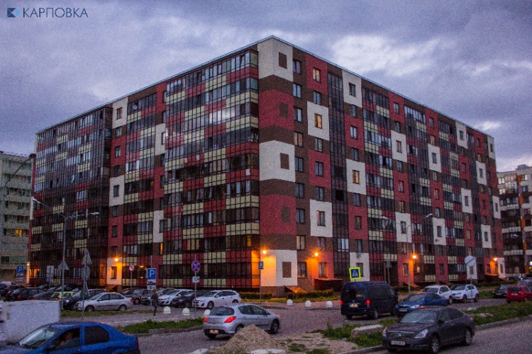 Яркое Кудрово: фоторепортаж из жизни городской деревни