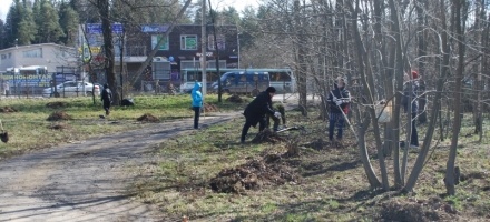52 кубометра мусора собрала администрация Всеволожска у «Дома героев» на Колтушском шоссе