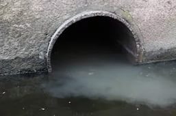 Активисты доказали, что канализационные стоки Санкт-Петербурга попадают в Неву