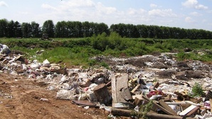 Хозяев сельхозучастка в Заневке оштрафовали за строительный мусор и сорняки