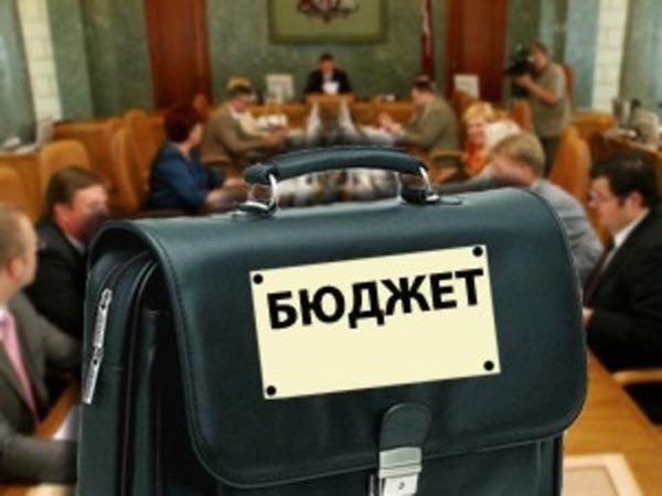 В Кузьмоловском прошли публичные слушания по утверждению отчета бюджета за 2014 год