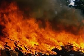 Огонь уничтожил все постройки на одном из участков в Ковалево
