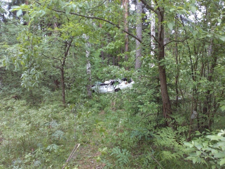 Пьяный водитель Daewoo Nexia &quot;вылетел&quot; в лес, врезался в дерево и угробил своих приятелей-пассажиров.