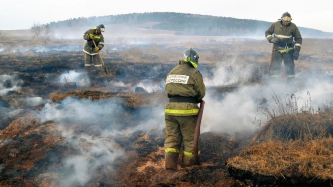 В Гатчинском районе 45 сотрудников пожарно-спасательных подразделений ликвидируют тление торфяной подстилки