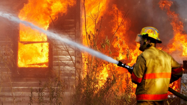 Во Всеволожском районе в двух садовых домиках сгорели люди