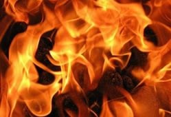 На пожаре в Тосненском районе погиб человек