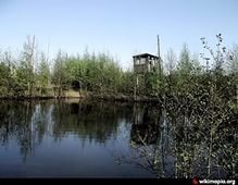 Уроженец Украины погиб в пруду в Сертолово