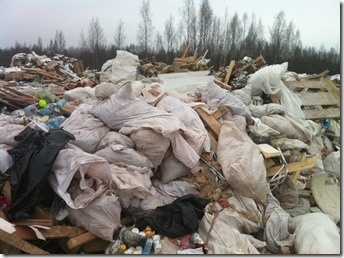 Ущерб почве от нелегальной свалки под Петербургом оценен в 30 млн рублей
