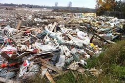 Старые кости выбросили на помойку в садоводстве Всеволожского района