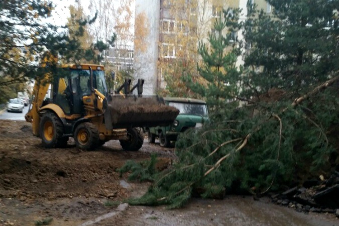 В Новом Девяткино избавляются от сосен, которые высаживали сами жители