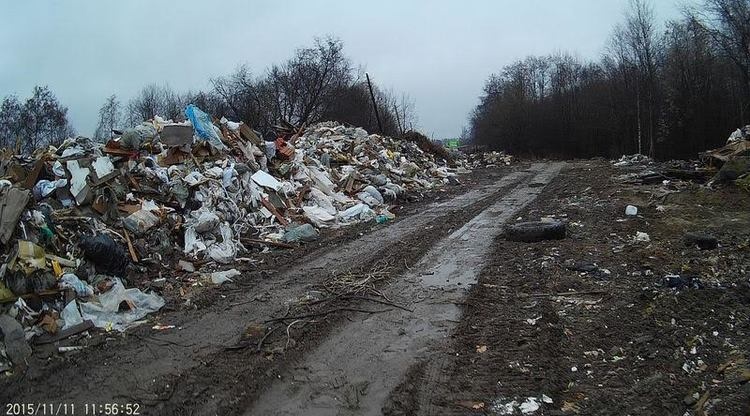 Экологам пожаловались на горы мусора в Кузьмоловском и Мурино