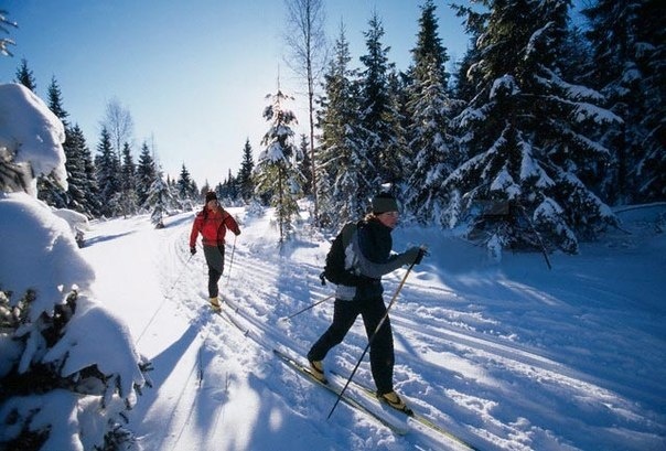 В Кузьмоловском подготовлены трассы к лыжным соревнованиям
